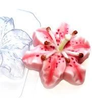 Формы пластиковые