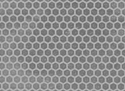 Пчелиные соты текстурный лист 100*145мм - фото 5513