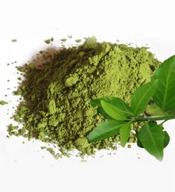 Зелёный чай, polyphenols 40%, экстракт 5г 0420011