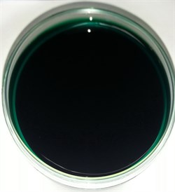 Гель свечной Зелёный (концентрированный) 10г - фото 6611