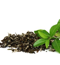 Зелёный чай отдушка косметическая 100мл - фото 6809