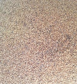 Грецкого ореха скорлупа, гранулы 10г - фото 6890