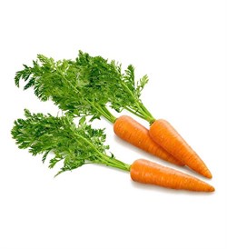 Моркови овощная пудра 5г - фото 7809