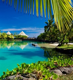 Тропический остров отдушка косметическая 10мл - фото 9119