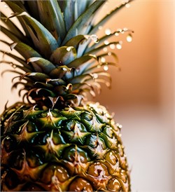 Ананас отдушка косметическая 10мл 0120781