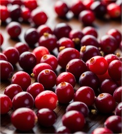 Клюква отдушка косметическая 10 мл 0120231