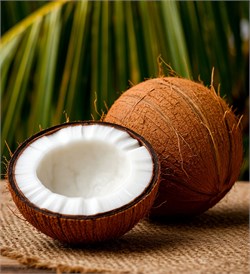 Кокос отдушка косметическая 100мл 0120252