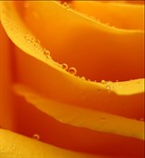 Оранжевый 10мл Краситель пищевой жидкий