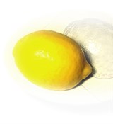 Лимон форма пластиковая