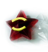 Звезда защитнику форма пластиковая 151044