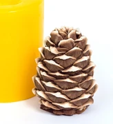 Сосновая шишка 3D силиконовая форма 152288