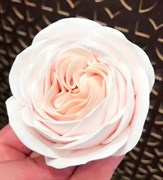 Роза Остин 3D силиконовая форма