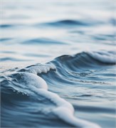 Морской бриз отдушка косметическая 10мл 0120431