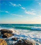 Морская свежесть отдушка косметическая 100мл 0120422