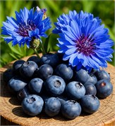 Черника и василёк отдушка косметическая 100мл 0120712