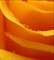 Оранжевый 10мл Краситель пищевой жидкий - фото 6060