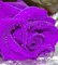 Ярко-фиолетовый 100мл Краситель пищевой жидкий - фото 6072