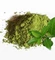 Зелёный чай, polyphenols 40%, экстракт 5г 0420011
