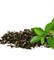 Зелёный чай отдушка косметическая 10мл - фото 6810