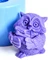 Сова с книгами 3D силиконовая форма 152282