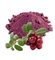 Брусники ягод экстракт 5г 0420091