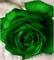 Зелёный Краситель для свечей (Жирорастворимый, сухой) 5г - фото 8509