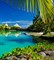 Тропический остров отдушка косметическая 100мл - фото 9120